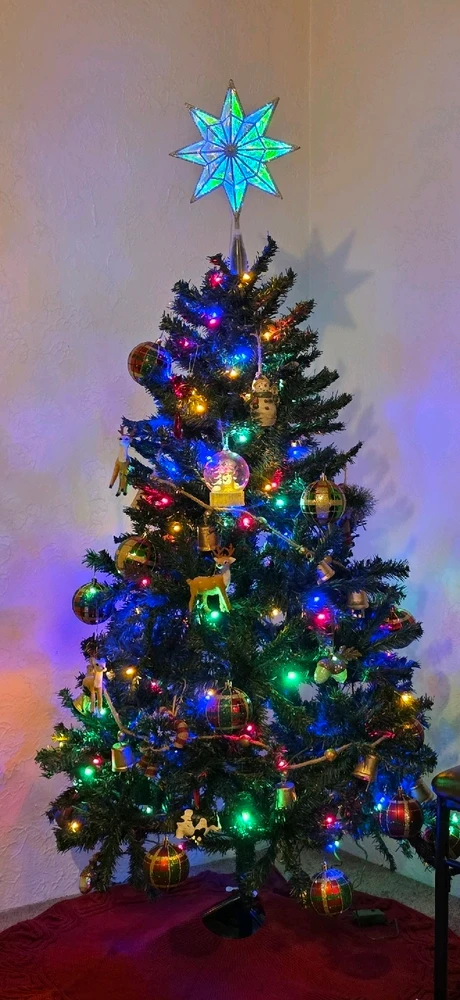 Gambar diunggah dening Amanda