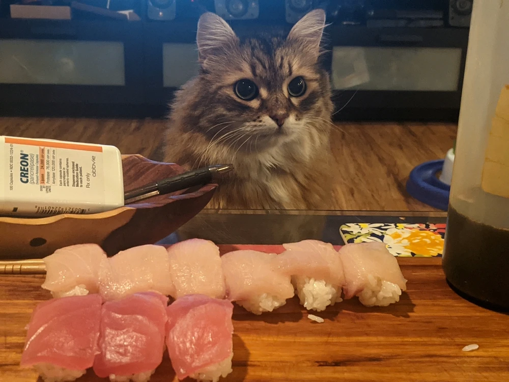 Image uploaded by Joe B