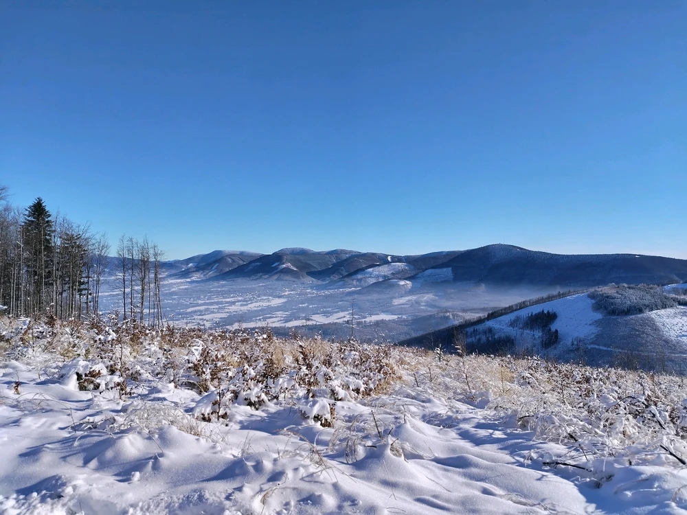 Obrázek nahrál Jan