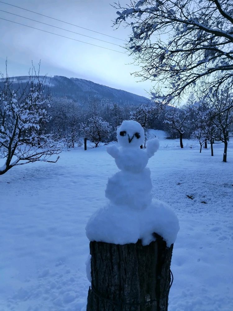 Obrázek nahrál Jan