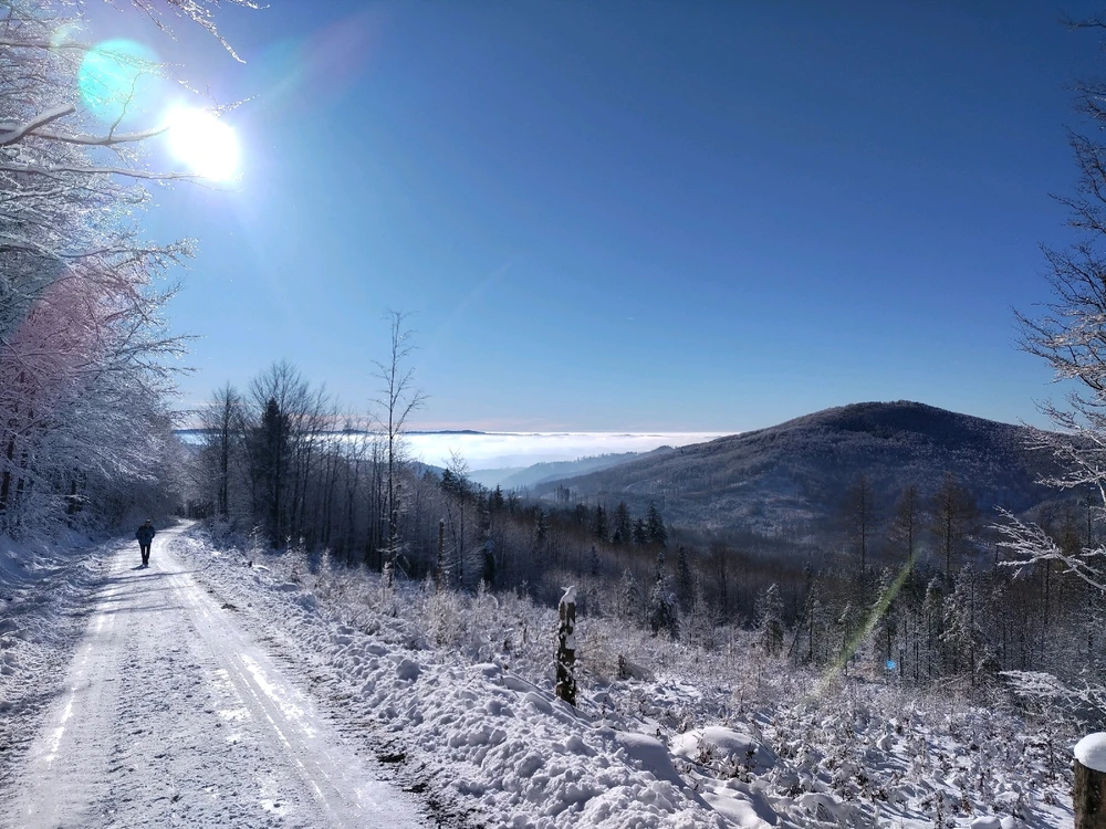 Obrázek nahrál Jan