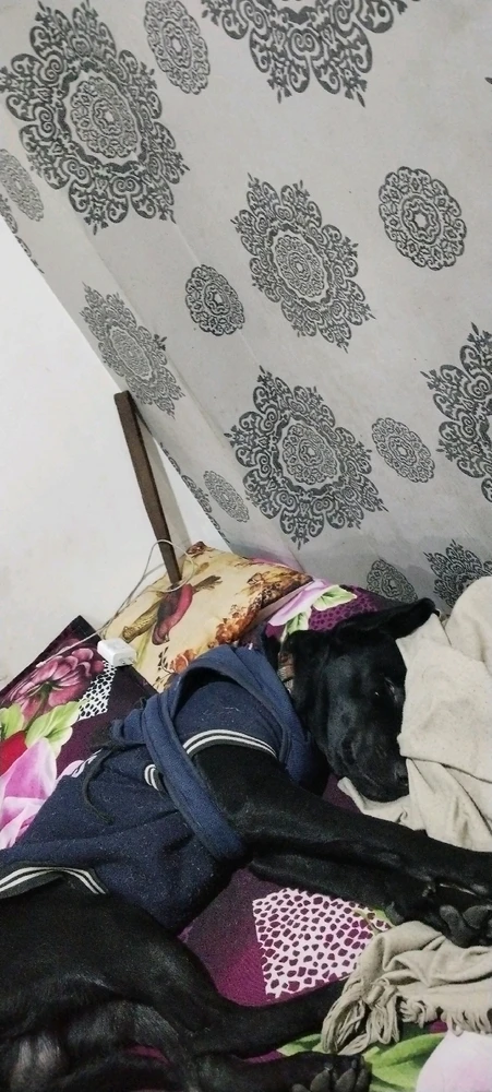 Image uploaded by Saurabh Sharma