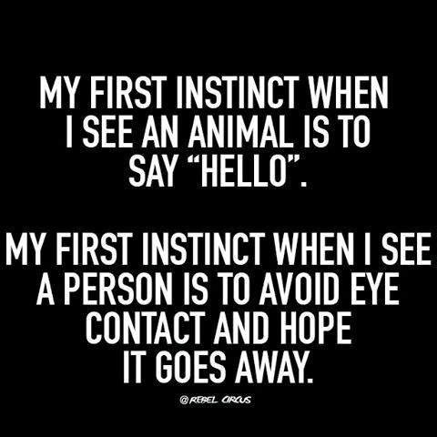 GIF uploaded by Martin