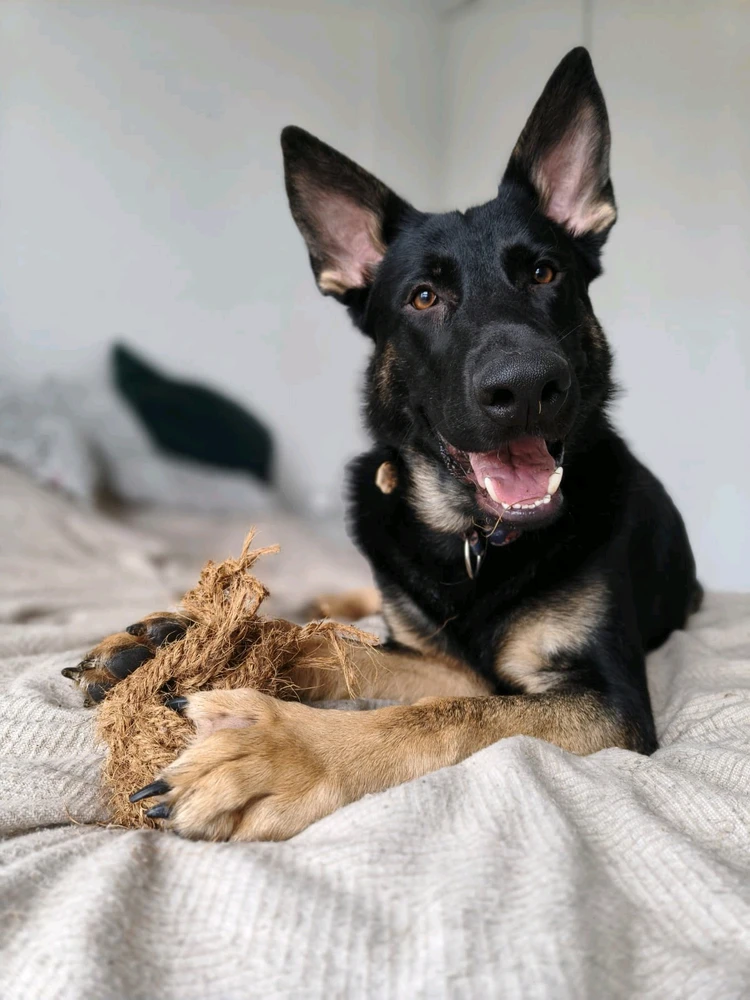 GIF dodany przez Adrian