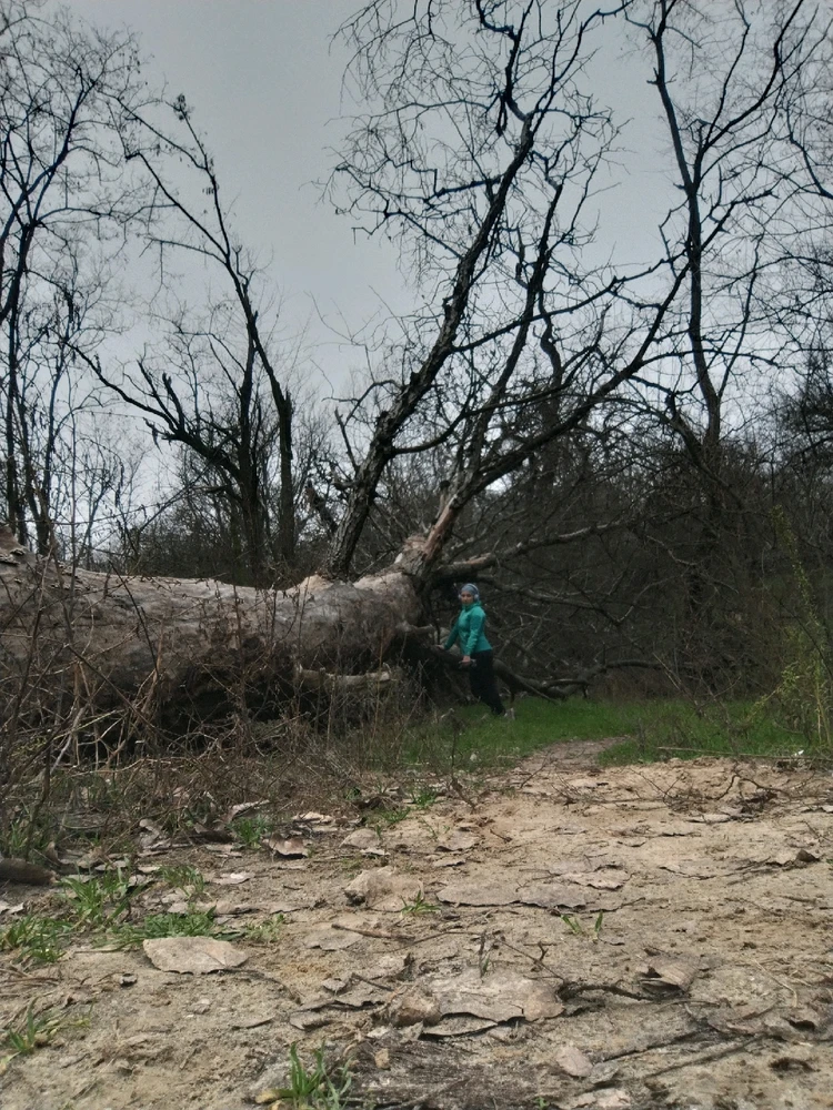 Зображення завантажив Ole