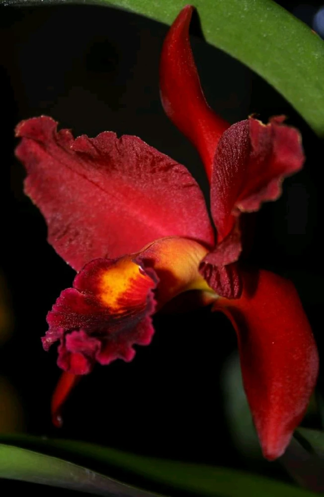 GIF caricata da Massimo