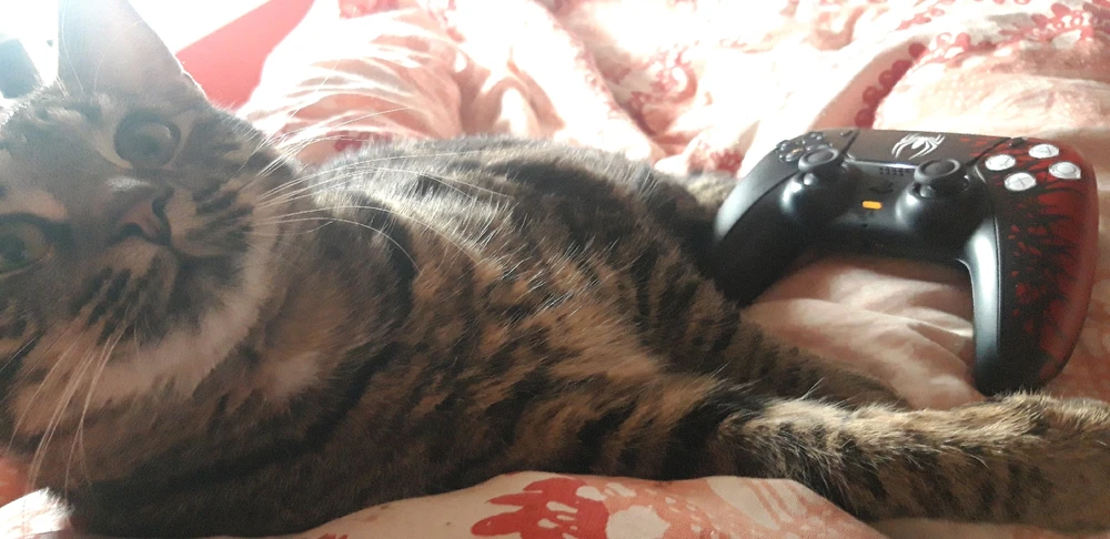 GIF hochgeladen von Marron