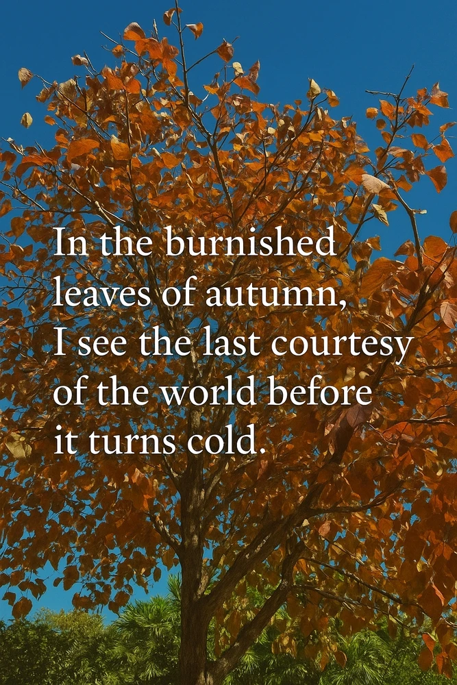 GIF uploaded by Luís