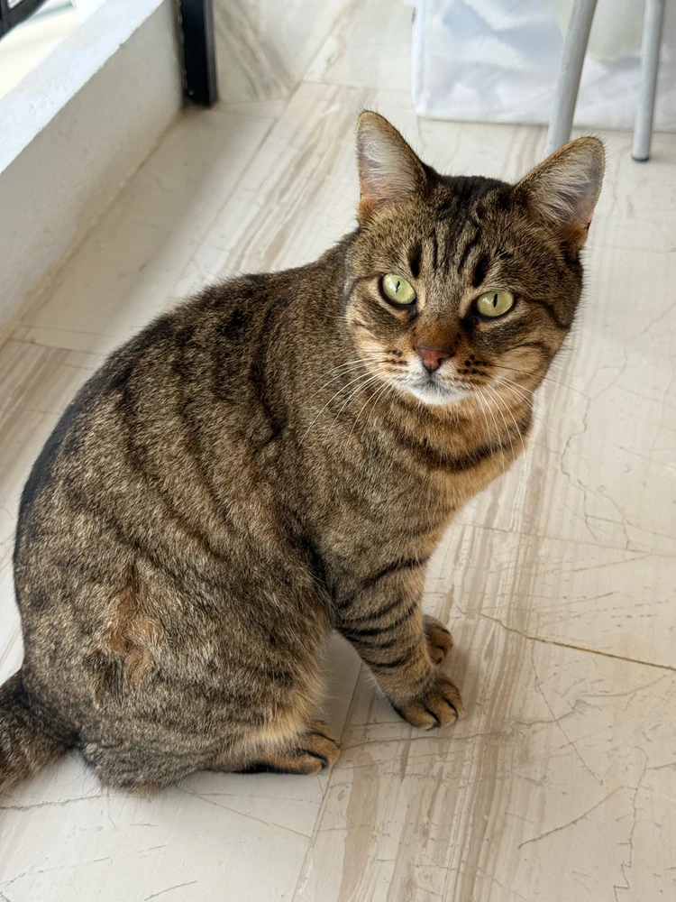 GIF uploaded by ΓΙΩΝ