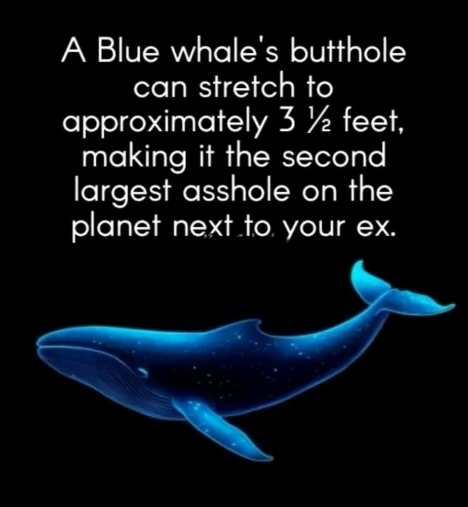 GIF uploaded by Merry Mary