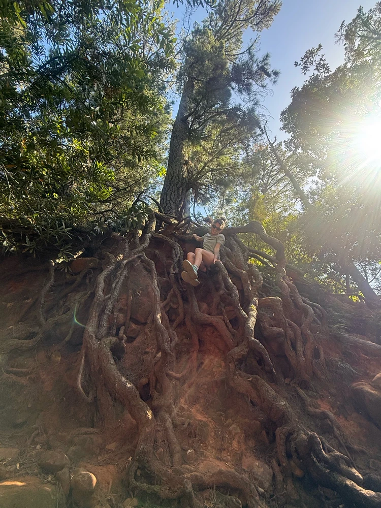 GIF diunggah dening Stormie