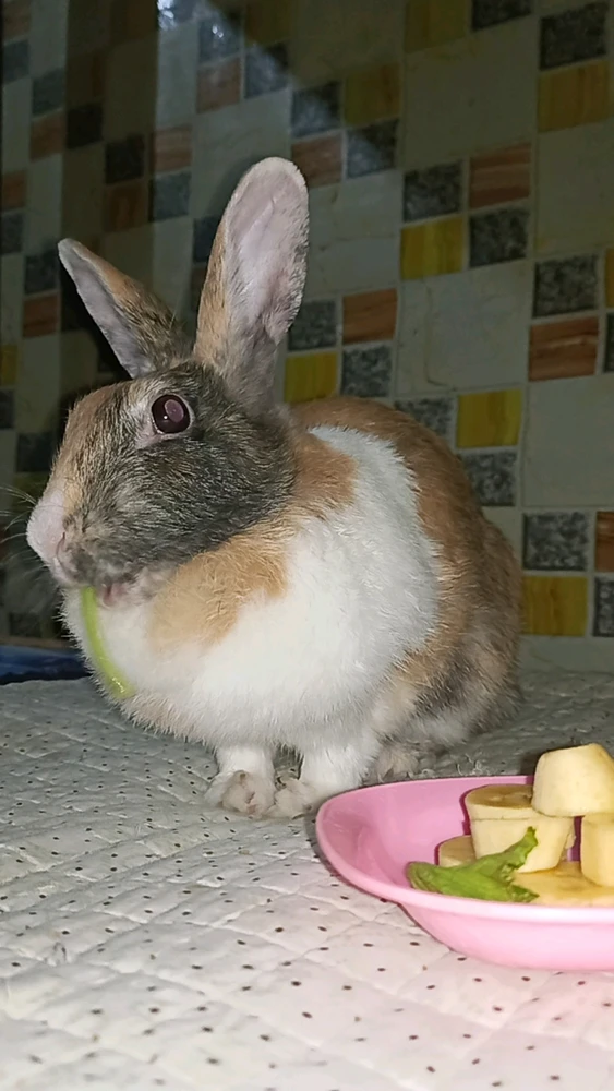 Image uploaded by shortgirl