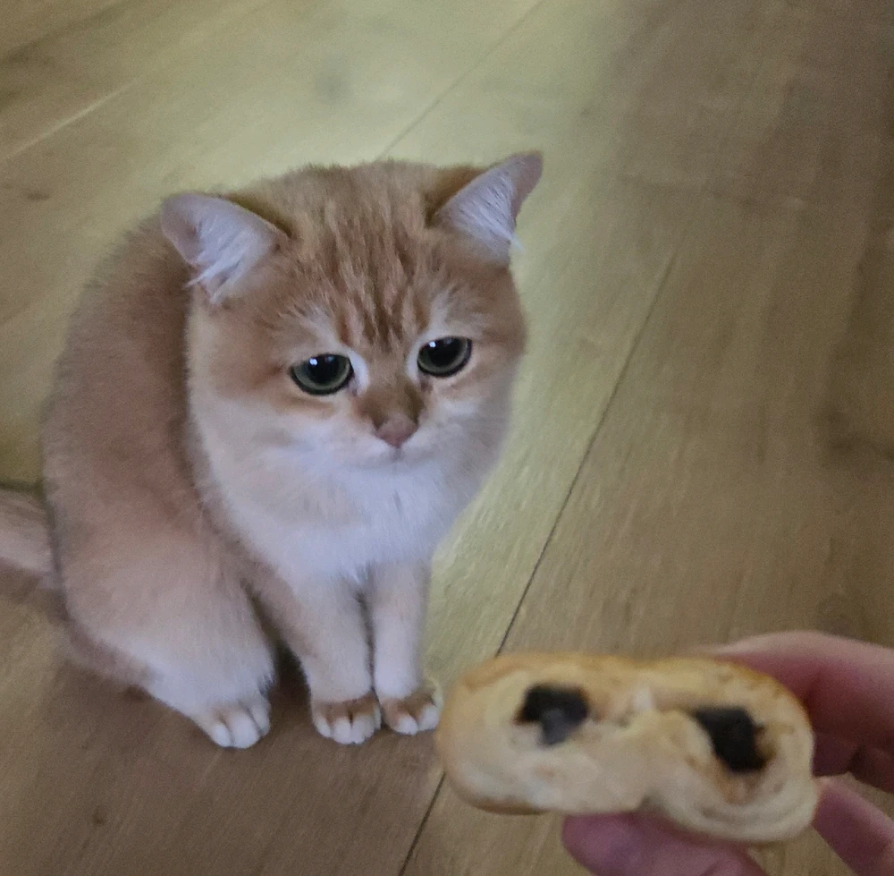 GIF hochgeladen von Edi