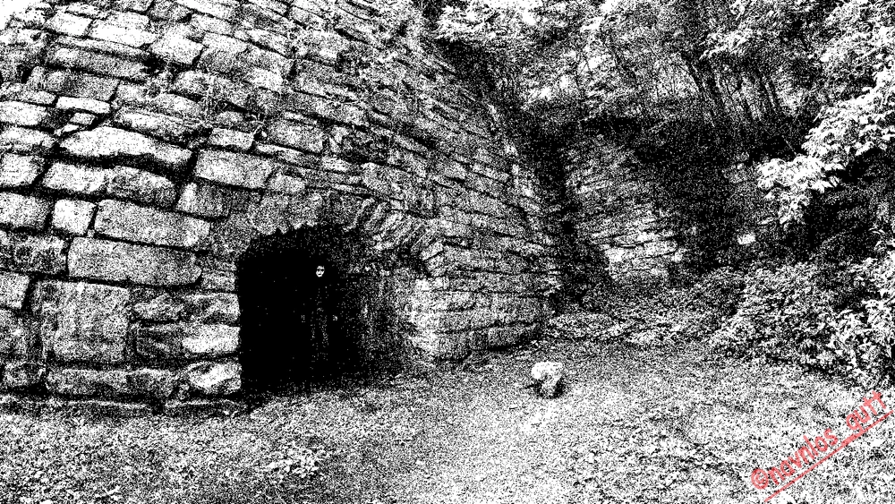 Image uploaded by Mike