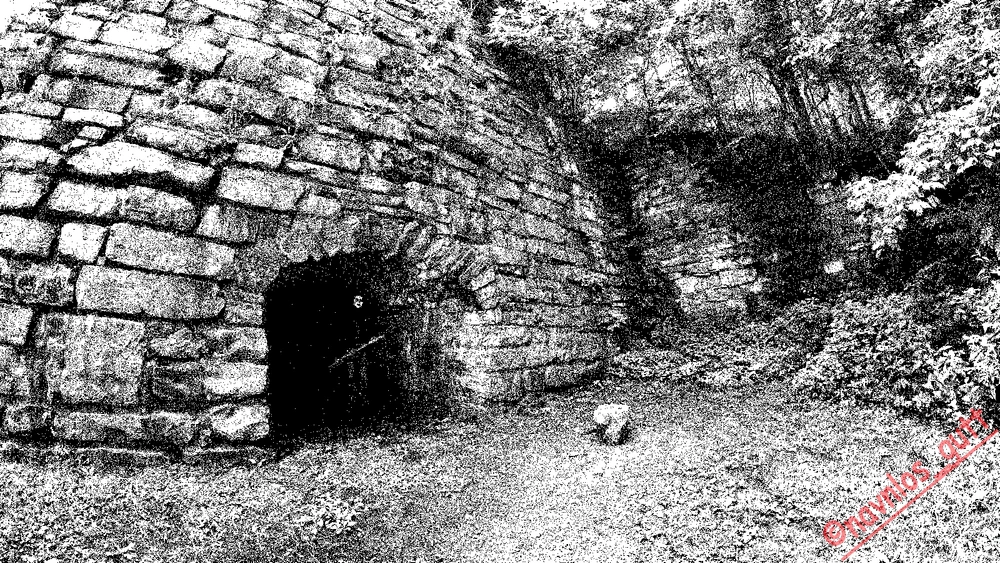 Image uploaded by Mike