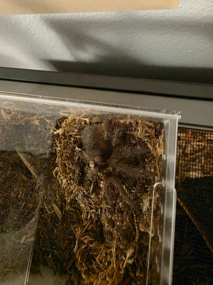 GIF uploaded by John