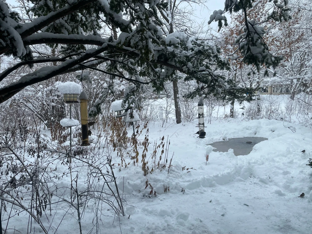 GIF uploaded by Robbie