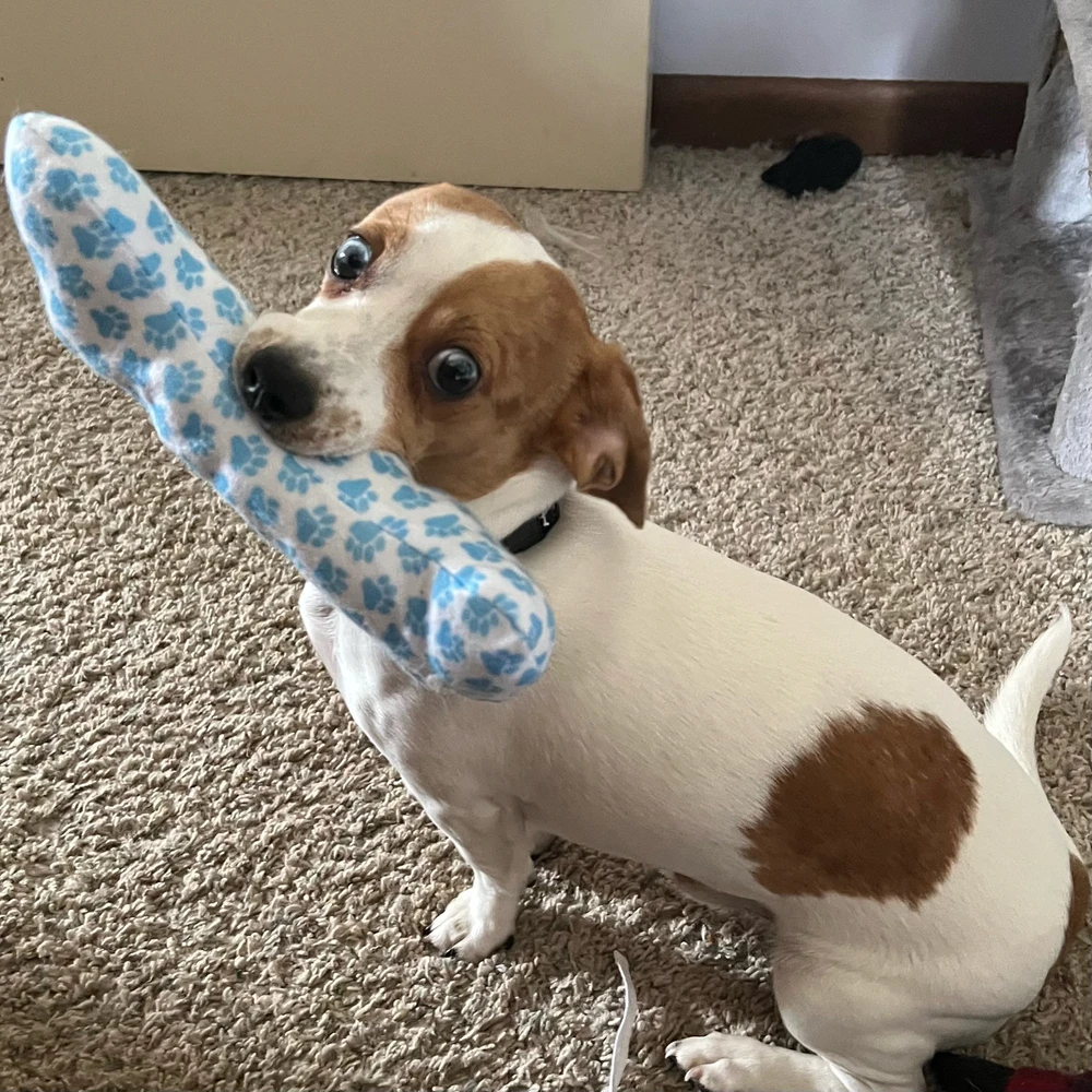 Gambar diunggah dening Roxie