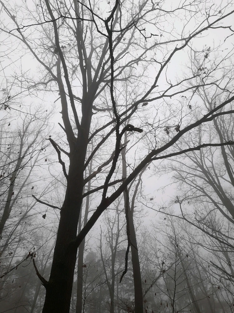 Obrázek nahrál Filip