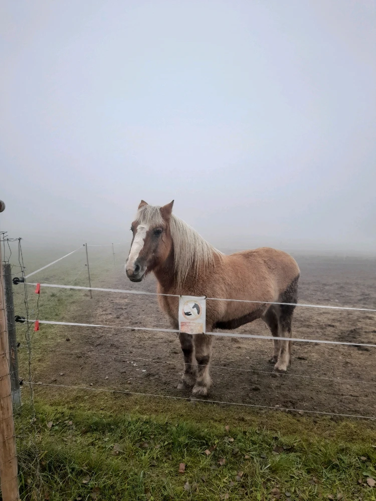 Obrázek nahrál Filip