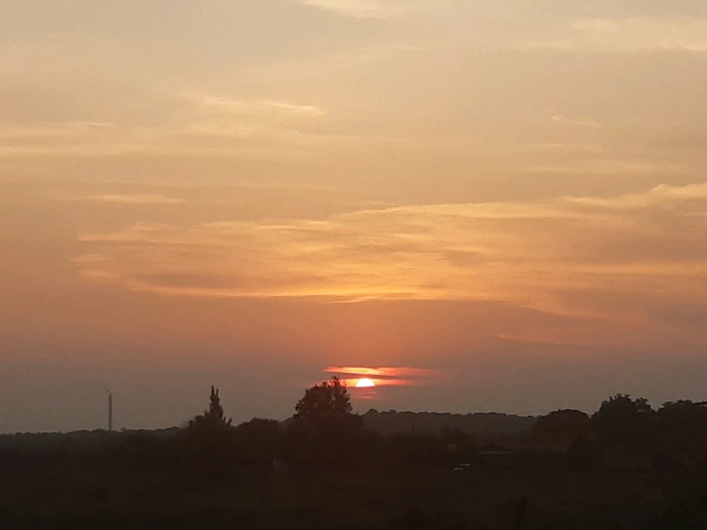 Image uploaded by Gee