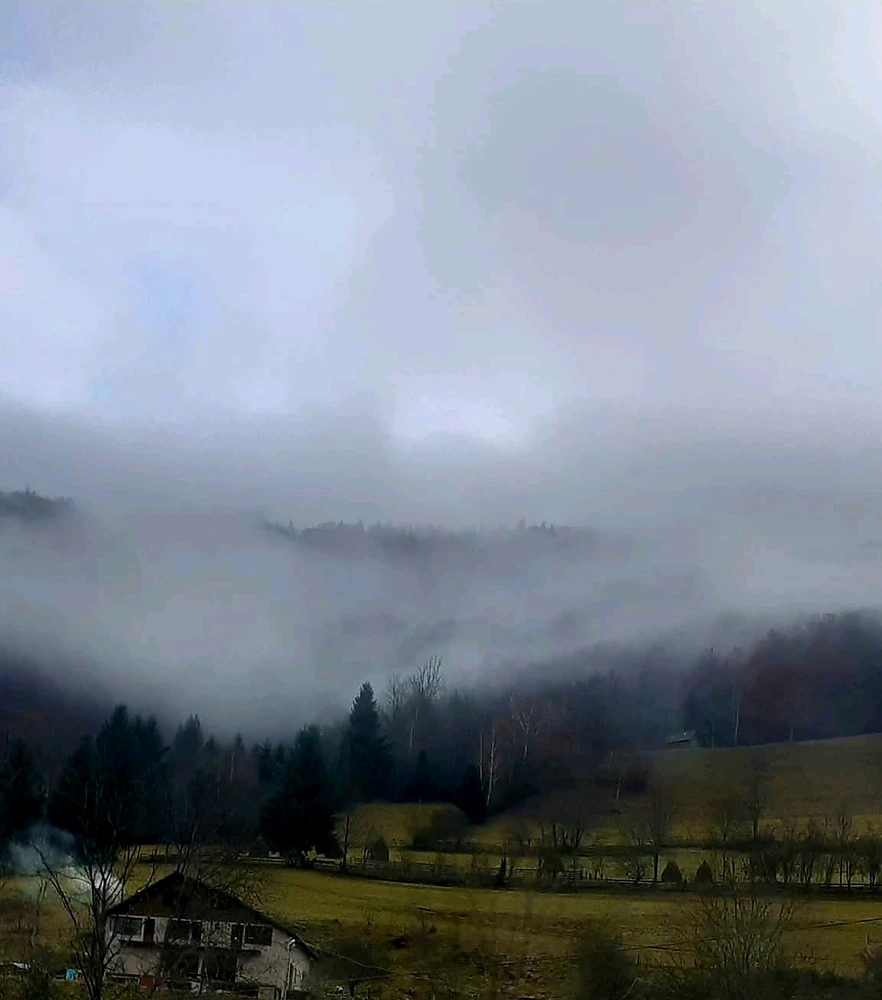 GIF uploaded by Cat-a-strophe