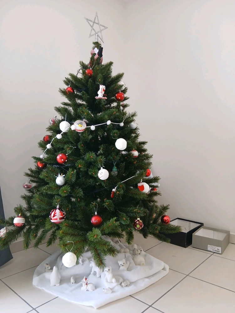 Image ajoutée par Rick