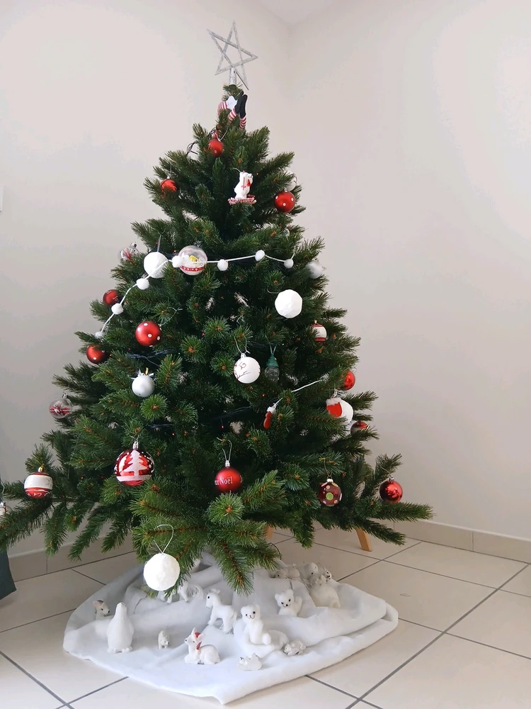 Image ajoutée par Rick