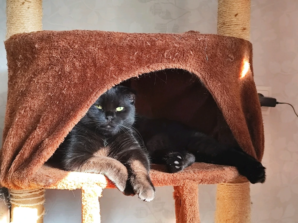 GIF üles laaditud kasutajalt Triin