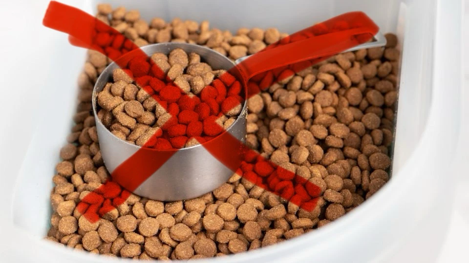 GIF uploaded by Alex