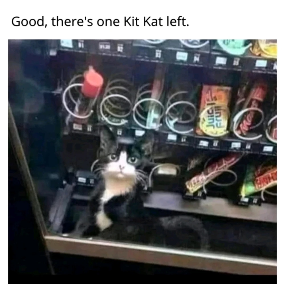 GIF hochgeladen von Kev