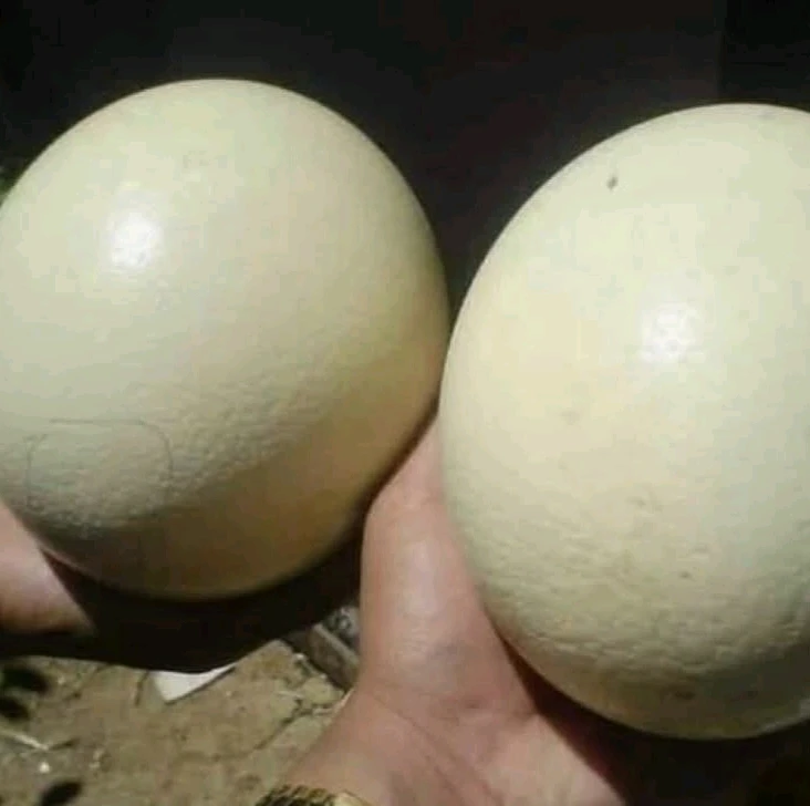 GIF ajouté par Stephe