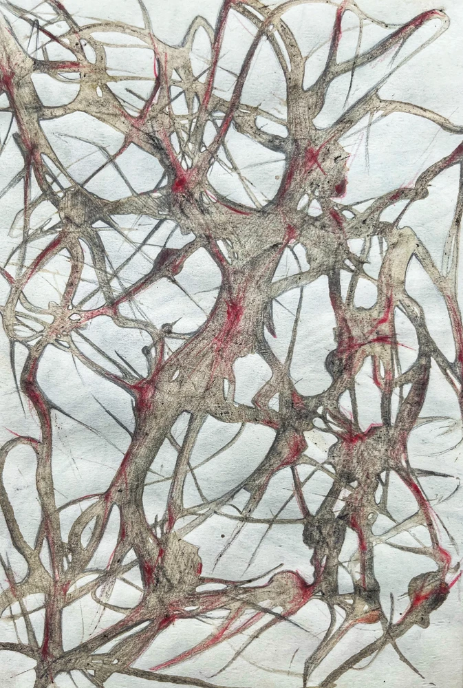 GIF uploaded by Saroo