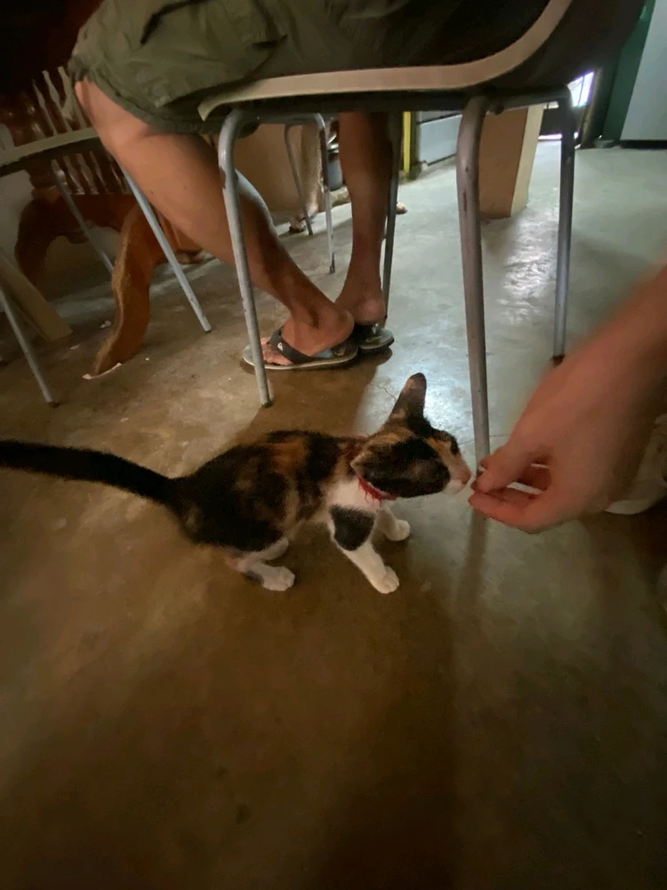 Imagen subida por Hilidan