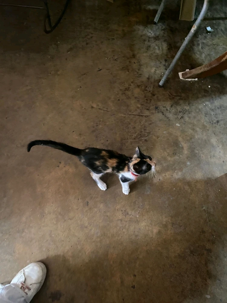 Imagen subida por Hilidan