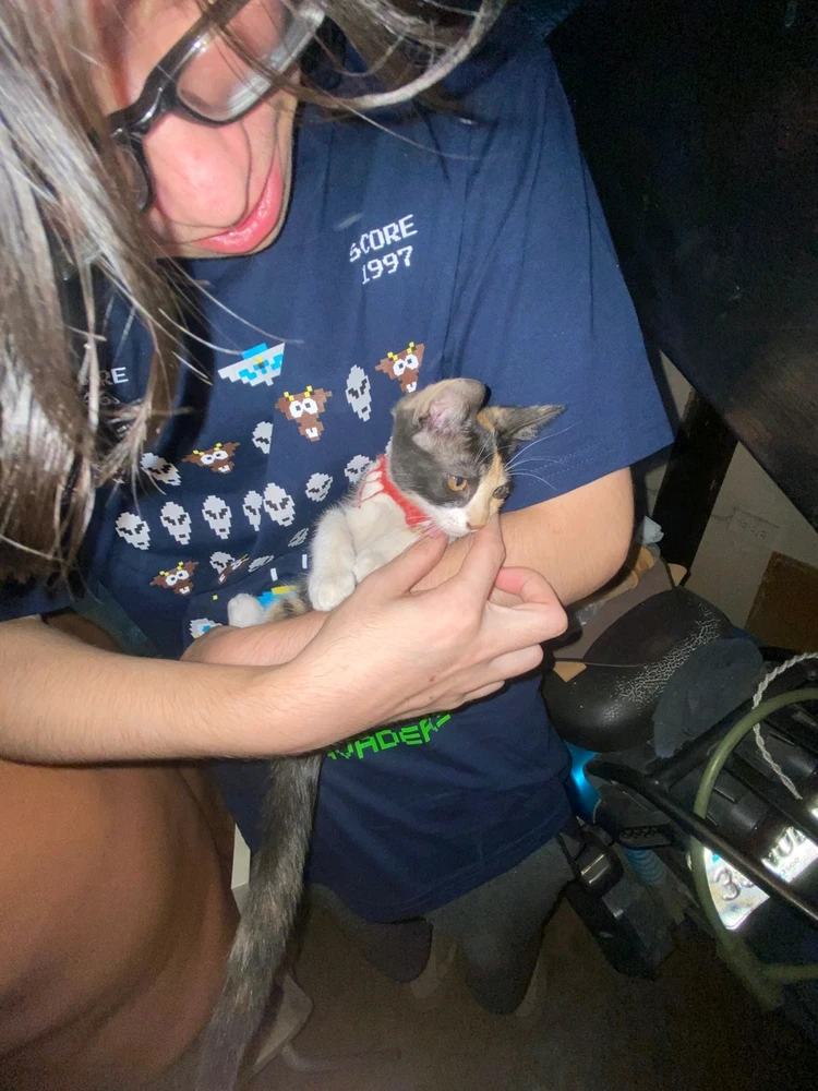 Imagen subida por Hilidan