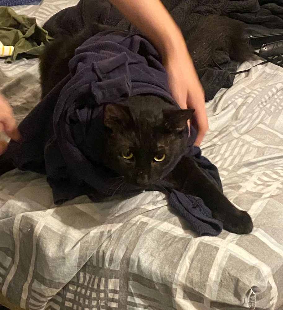 Imagen subida por Hilidan