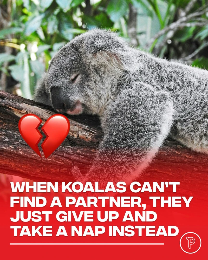 GIF uploaded by Kaye