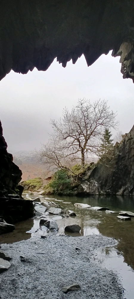 GIF uploaded by Gordon