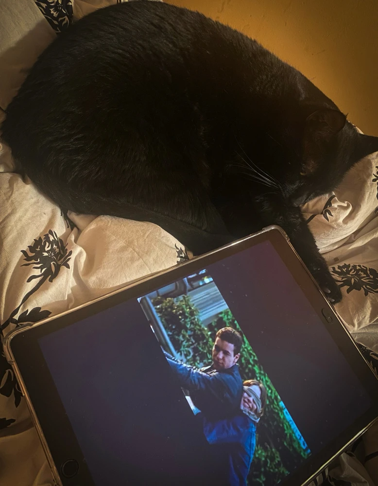 GIF dodany przez Roza