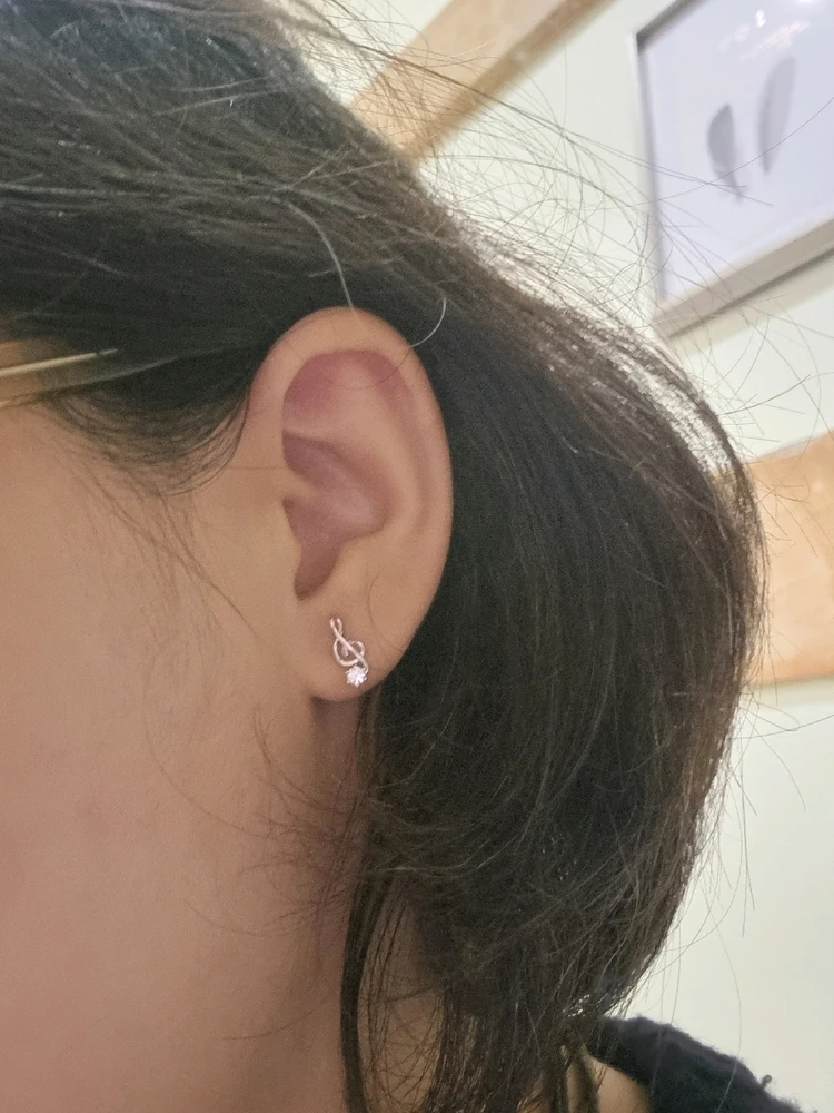 Liz上傳的圖片