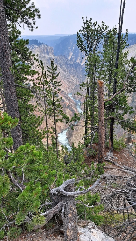 Image uploaded by Denis