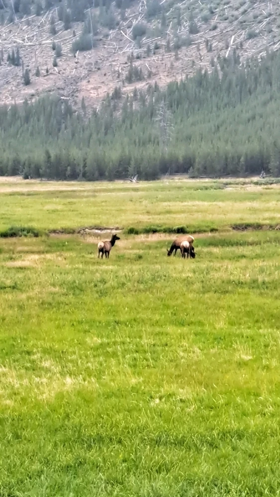 Image uploaded by Denis