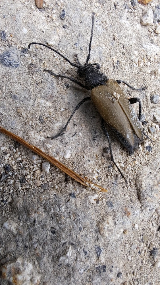 Image uploaded by Denis