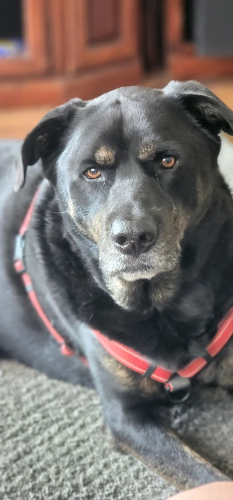 GIF diunggah dening Mandi