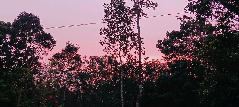 Image uploaded by Divaa