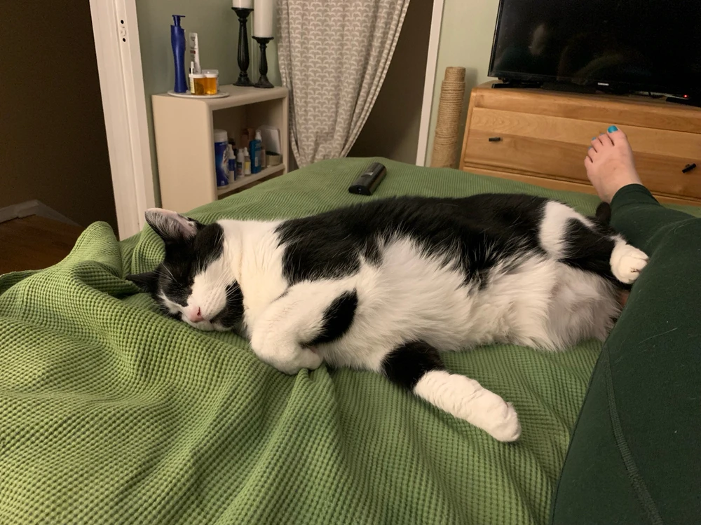 GIF uploaded by Jessica