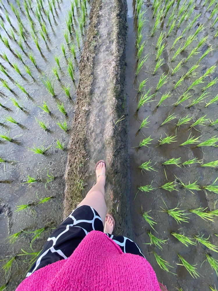 Gambar diunggah oleh Tari