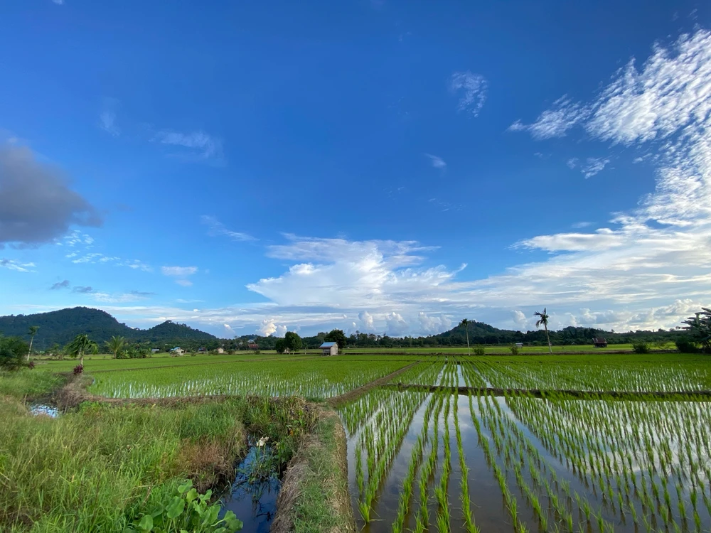 Gambar diunggah oleh Tari