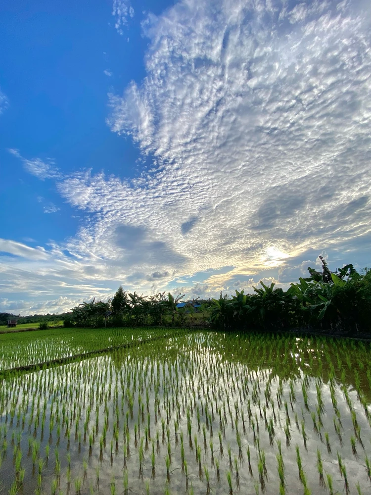 Gambar diunggah oleh Tari